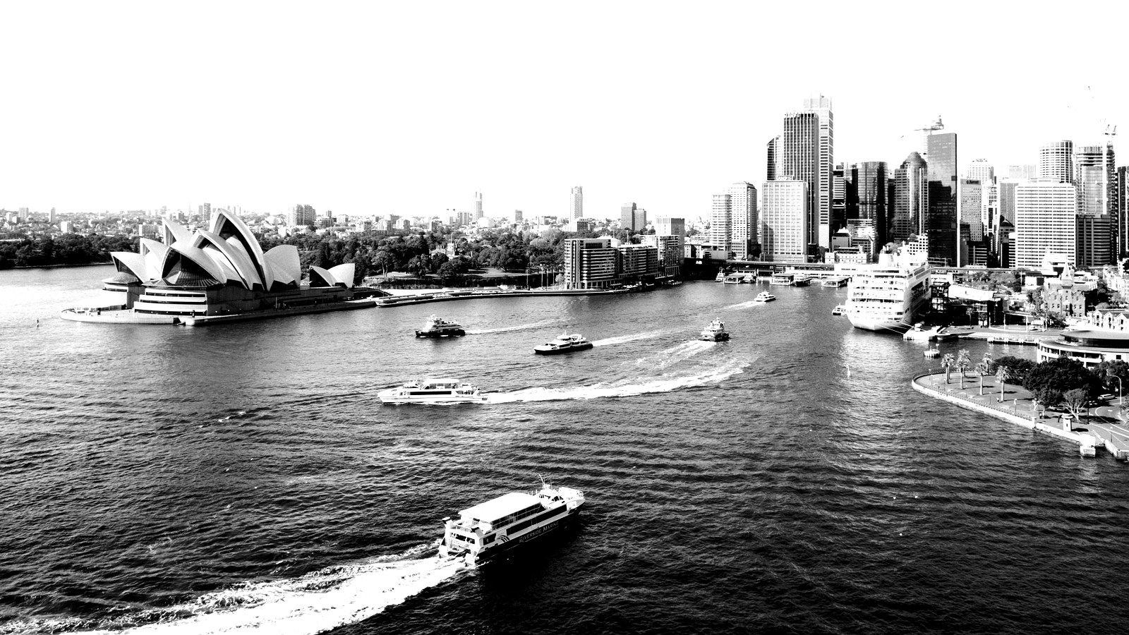 Sydney Harbour and city skyline